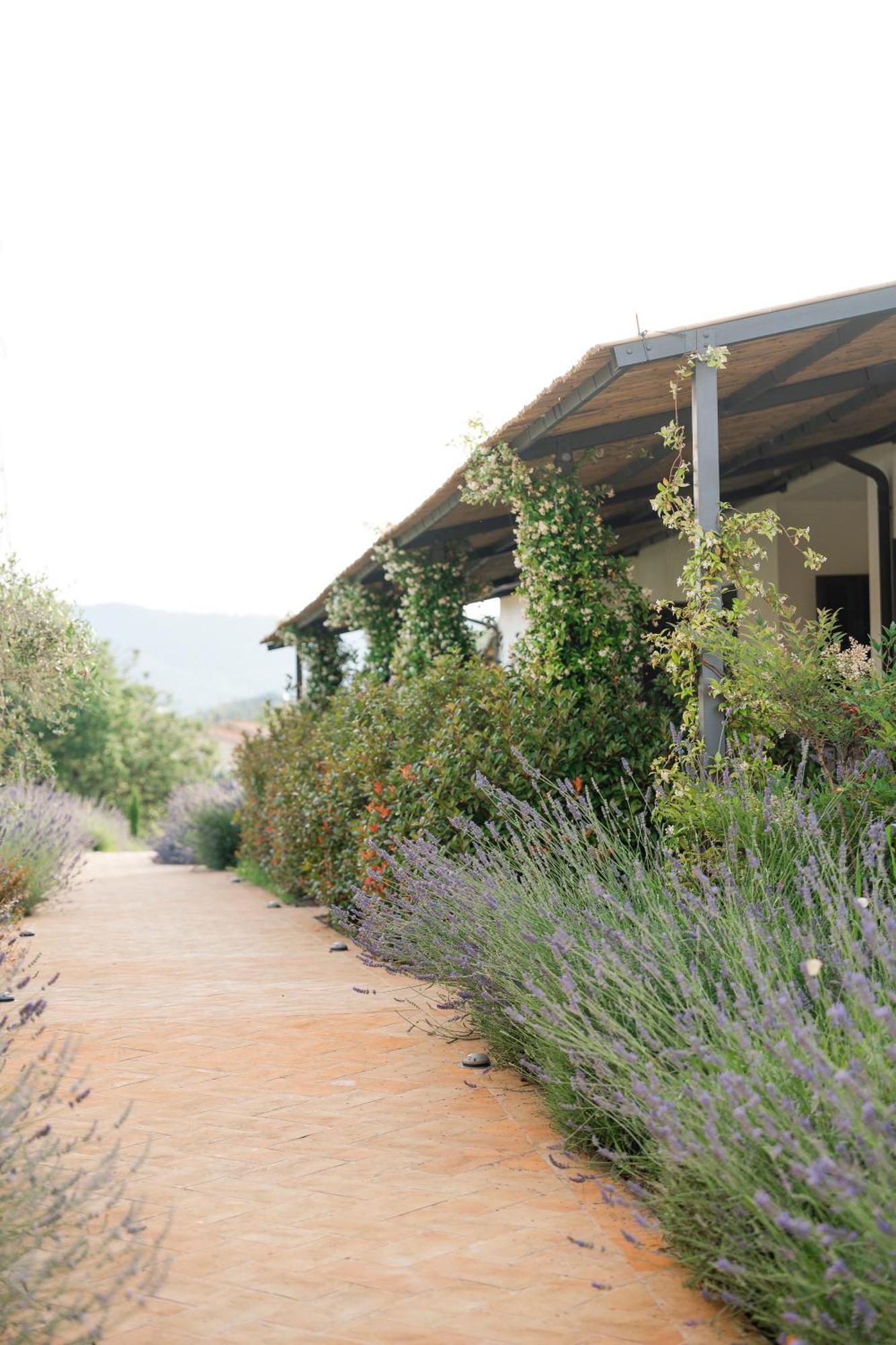 Hortus Natural Living Todi Eksteriør bilde